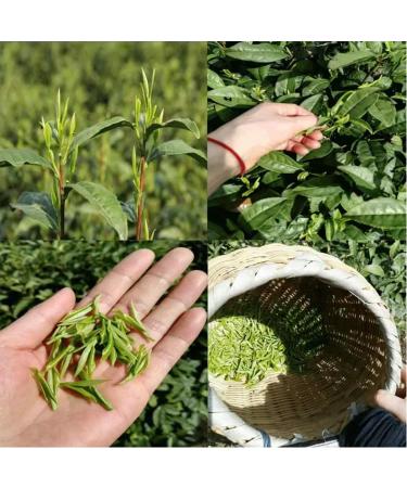 Huoshan Huangya 50g New tea leaves Loose tea Yuqian Yellow Tea high mountain Spring tea - Buy Online on SooperMarket.com