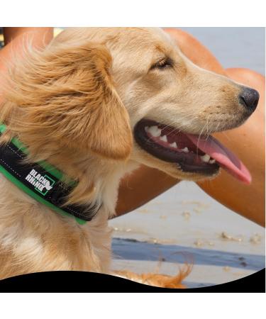 Black Rhino Comfort Collar | Super Soft Neoprene Dog Collar for All Breeds | Adjustable Reflective Weatherproof - Aqua/Gray Small - Buy Online on SooperMarket.com