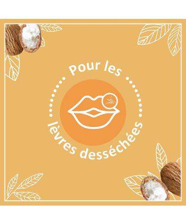 Le Petit Marseillais Lip Care Stick - Nourishing Dry Lips - Best International Shipping - Buy Online on SooperMarket.com