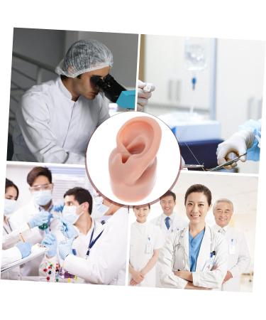 FOMIYES Silicone Human Ear Model for Piercing Teaching Display - Coffee 6.5x3.5cm - Buy Online on SooperMarket.com