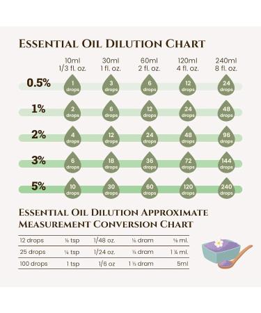 Ecodrop Wellness Oil Blend Collection - 4X 5ml Bottle Set | Natural & Organic Therapeutic Grade Aromatherapy Eucalyptus Lavender Tea Tree Lemon & Ravensara Essential Oil Blends Diffuser Gift Kit Wellness Blends - Buy Online on SooperMarket.com