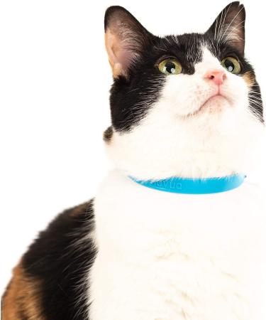 Nuvuq Soft & Light Cat Collar with Breakaway Snap Button - Blueberry Blue - Buy Online on SooperMarket.com
