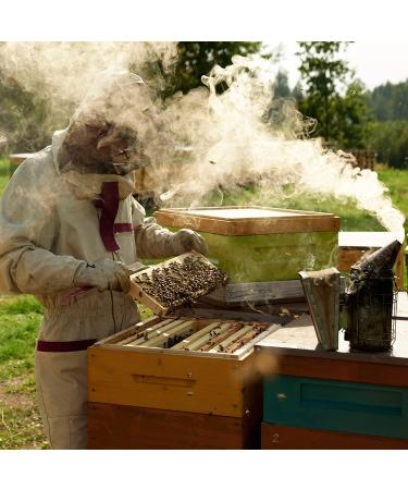 Earthbreath Honey with Propolis 340g - Raw Pure Natural Immunity Support - Buy Online on SooperMarket.com