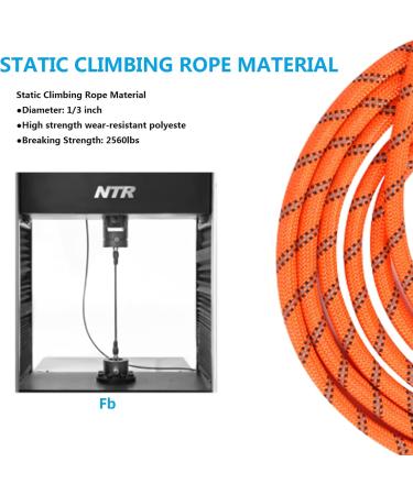 LOQATIDIS 3M Dog Tie - Heavy Duty Reflective Nylon Training Leash with Soft Grip for Dogs Perfect for Large Medium Small & Puppies - Orange Color - Buy Online on SooperMarket.com