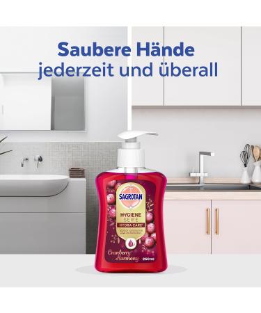 Sagrotan Hand Soap Cranberry Limited Edition - 6 x 250ml Value Pack | Premium Liquid Soap for Healthy Hands - Buy Online on SooperMarket.com