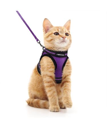 rabbitgoo cat dishes cat linen set cat dishes with leash dishes cats outbreakingly adjustable soft with reflective stripes for cats kitten puppies Cat harness leash purple m (1 Pack) purple