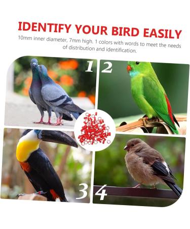 Beavorty 300 Pcs Pigeon Anklet Where Labels Bird Opening Feet Opening Pigeon Ring Plastic Clip Baby Poultry 1.3X1.3CMx3pcs Redx3pcs - Buy Online on SooperMarket.com