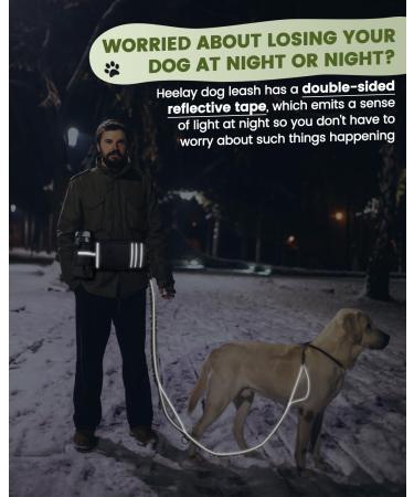 Premium Jogging Lines for Dogs - Dual Handle Leash with Belly Belt & Reflective Seams | Perfect for Medium & Large Breeds - Buy Online on SooperMarket.com