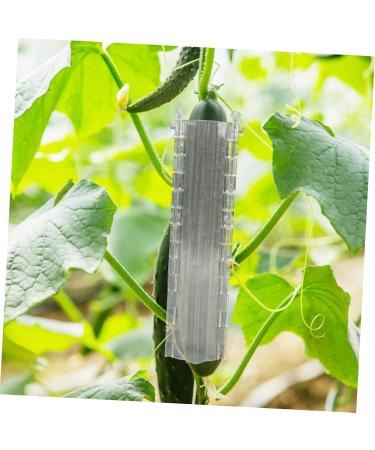 BCOATH 2pcs Melon and Fruit Shaping Mold Vegetables Pumpkin Shaping Mold Vegetable Growing Moulds Shaper - Buy Online on SooperMarket.com