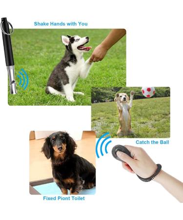 Jaimela Dog Whistle & Clicker Set | Professional Dog Training Accessories | Standardized Frequency Training Tools - Buy Online on SooperMarket.com