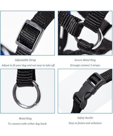 Padded Dog Head Collar for Anti-Pulling Control | Adjustable Head Harness in L Lake Blue - Buy Online on SooperMarket.com