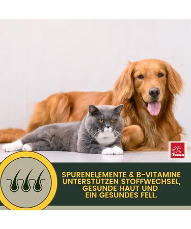 Emma Cat Vitamins 100ml | High Dose B Complex & Essential Nutrients for Immune Support | Vitamins A B12 D E Iron Zinc Selenium & L-Lysine - Buy Online on SooperMarket.com