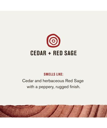 Every Man Jack Cedar + Red Sage Antiperspirant Deodorant 2.6oz - 2 Pack - Buy Online on SooperMarket.com