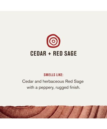 Every Man Jack Cedar + Red Sage Gift Set - Clean Ingredients Men's Body Wash Shampoo Deodorant & Face Wash - Perfect for International Shipping - Buy Online on SooperMarket.com