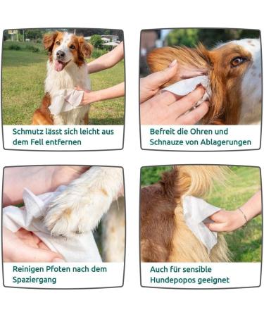 Zipy Dog Wipes - 350 Natural Deodorizing Care Cloths for Cats & Dogs | Fragrance-Free Moisture Towels for Paws Ears & Body - Buy Online on SooperMarket.com