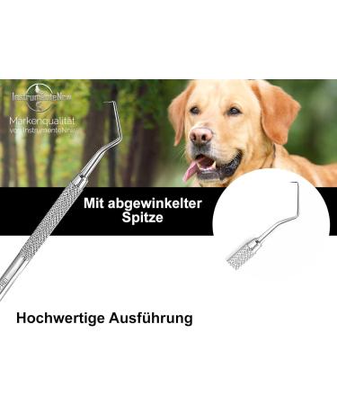 Premium Stainless Steel Dog Tartar Remover | Pointed Tooth Cleaner & Toothbrush Replacement | Zartar Scratches Type 18 for Effective Pet Dental Care - Buy Online on SooperMarket.com