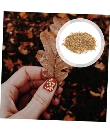 WOONEKY 1 Glass in Bulk DIY Crafts Bulk Epoxy Resin Mini Wooden Decorations Vintage Glass Vintage Bud Irregular Glass Glitter Manicure Fillers Bulk Chips Accessories Nail 0.5X0.3cm Golden - Buy Online on SooperMarket.com