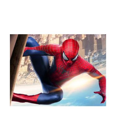 Meetmugum 5D DIY Spiderman Diamond Painting Kits - Full Round Drill Painting by Number Kit Cross Stitch Puzzle Art Craft for Adults Home Decor Gifts(12x16 Inches)