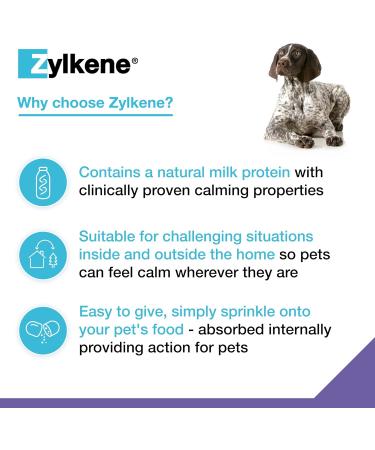 Zylkenee 450mg - 20 Capsules | Natural Stress Relief Supplement for Pets | Fast International Shipping - Buy Online on SooperMarket.com