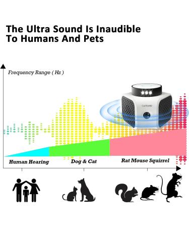 Careland Ultrasonic Pest Repeller 4-in-1 | Squirrel & Rodent Repellent with Ultrasound Waves and LED Strobe Lights | Indoor Mouse Deterrent - Buy Online on SooperMarket.com