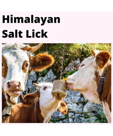 2x Himalayan Pink Salt Compressed Lick - Horse Cow Sheep Animal - 6kg each - Buy Online on SooperMarket.com