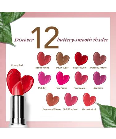 Moisture Matte Lipstick - Cherry Red | Long-lasting Hydrating Cruelty-free & Vegan | Certified Organic Makeup | 4gm - Buy Online on SooperMarket.com