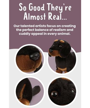 Living Nature Dachshund Eco-Friendly Plush Toy - Realistic Soft Cuddly Dog (28cm) - Buy Online on SooperMarket.com