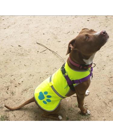 SafetyPUP XD Dog Safety Vest | Neon Yellow | Sizes for Dogs 14-130 lbs | Ultimate Safety & Comfort - Buy Online on SooperMarket.com