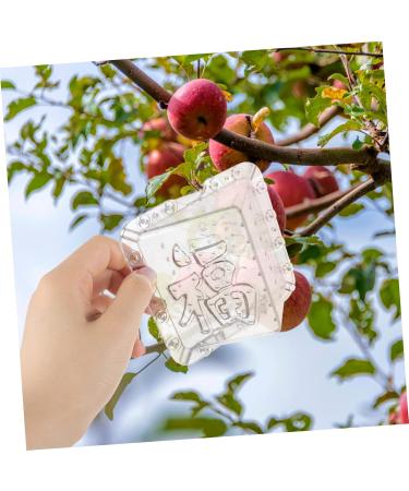 Kisangel 8 Pcs Square Apple Fruit and Vegetable Fruit Shaper Mould Cover - Buy Online on SooperMarket.com