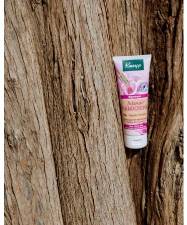 Kneipp Intensive Hand Cream - Extra Rich Shea Butter & Magnolia - 75ml (Pack of 2) | Shop Now for International Shipping - Buy Online on SooperMarket.com