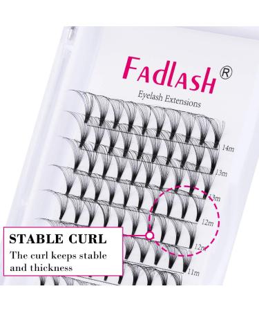 16D Russian Volume Eyelashes - D Curl 0.07mm Mix 8-14mm - Premium Bulled Eyelash Extensions (1 Pack) - Buy Online on SooperMarket.com