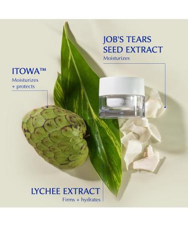 SEKKISEI CLEAR WELLNESS Water Shield Cream - Facial Moisturizer for Sensitive Skin | 1.4 oz - Hydrating & Soothing Ships Internationally - Buy Online on SooperMarket.com