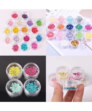 Bitefu 80 Pack Empty Cosmetic Containers - Transparent Plastic Storage Box with Mini Spatula for Creams & Travel - 5g 5ml Sample Pots - Buy Online on SooperMarket.com