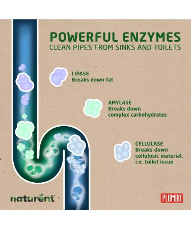Eco Drain Cleaner from Plumbo - Safe and Effective Probiotic & Enzyme Formula for Mild to Moderate Blockages Non-Toxic and Eco-Friendly Breaks Down Grease and Organic Waste Odour Neutralizer 1 L - Buy Online on SooperMarket.com