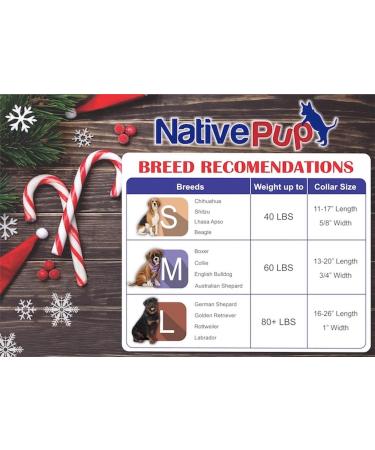 Native Pup Holiday Dog Collar - Valentine's Day, Halloween, Thanksgiving, Christmas, 4th of July, American Flag, St. Patrick's Day, Easter - Medium (Pack of 1) Christmas Snowflakes - Buy Online on SooperMarket.com
