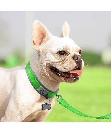 Joytale Softly Padded Neoprene Dog Collar for Small Dogs - Reflective Nylon Wide Collar in Green - 1 Pack - Buy Online on SooperMarket.com