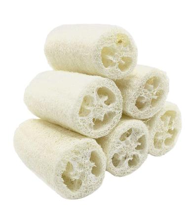 MAYMIIHOME 100% NATURE 6 Pack of (approx 4-5" length) Organic Loofahs Loofah Spa Exfoliating Scrubber natural Luffa Body Wash Sponge Remove Dead Skin Made Soap