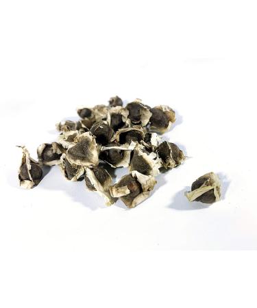 Organic Moringa Oleifera Seeds (Semillas de Moringa) / WT: 57 GR 170 GR 340 GR 510 GR 822 GR (822 GR)