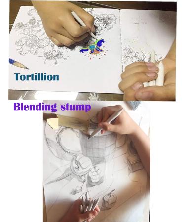Blending Stumps and Tortillions Set with 2 Pieces Sandpaper Pencil Sharpener  1 Eraser Sketch for Student Sketch Drawing kit (6 pcs +4) - Buy Online on SooperMarket.com