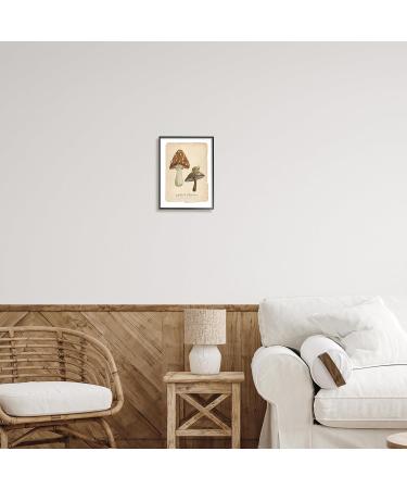 Stupell Industries Woodland Mushrooms & Snail Framed Giclee Art by Carol Robinson 11 x 14 Black Framed - Buy Online on SooperMarket.com