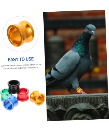 BESPORTBLE 80 Pcs Pigeon Foot Ring Metal Brackets Kickstand Chicken Wite Parrot Pigeon Gear Aluminum Poultry 0.8X0.8X0.8CMx4pcs As Shownx4pcs - Buy Online on SooperMarket.com