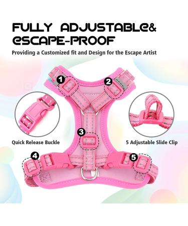 Supet Cat Dishes & Line Set - Perfect Feeding Solution for Kittens | International Shipping Available - Buy Online on SooperMarket.com