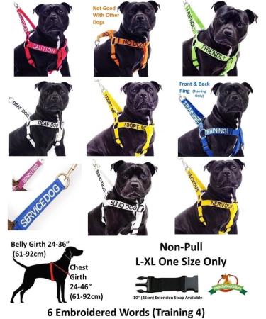 NERVOUS FriendlyDogCollars Colour Coded Dog Accident Prevention Leads 1.2m Prevents Dog Accidents By Letting Others Know Your Dog In Advance Award Winning NERVOUS Yellow - Buy Online on SooperMarket.com