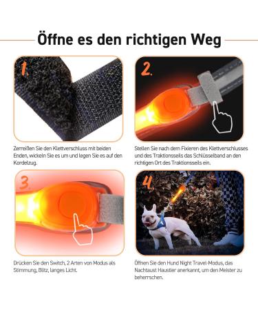 Laroo Safety LED Light Band for Dogs & Cats | Waterproof Easy to Attach Bright Flashing LED for Outdoor Safety | International Shipping - Buy Online on SooperMarket.com