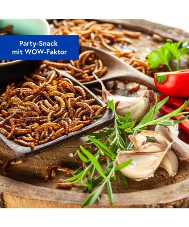 Sensible Insect Snack | Roasted Mealworm Protein & Crunchy Party Mix | Unique Grilling Gift Idea - Buy Online on SooperMarket.com