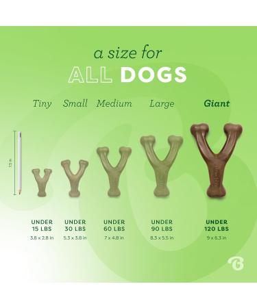 Benebone Wishbone XL Dog Chew Toy - Durable Real Peanuts for Aggressive Chewers | International Shipping Available - Buy Online on SooperMarket.com