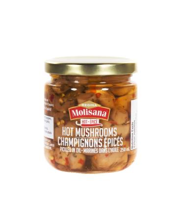 Regina Molisana Hot Pickled Mushrooms in Oil 250 milliliters Hot Mushrooms