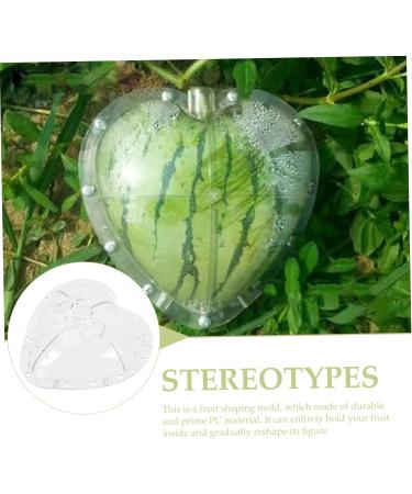 Gadpiparty Plant Vegetables Fruit for Outdoor Vegetable Pumpkin Watermelon - Buy Online on SooperMarket.com
