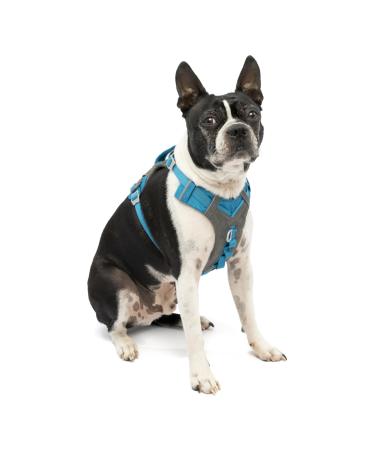 Kurgo Journey Air Dog Harness With Padded Chest and Back Handle For Dogs 2-5 kg Size XS Blue/Gray XS Blue