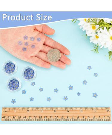 100 Pcs Natural Forget-Me-Not Dried Flowers for DIY Jewelry, Candle, Card Making - Real Pressed Flowers for Resin Ornaments & Nail Art Decorations - Buy Online on SooperMarket.com